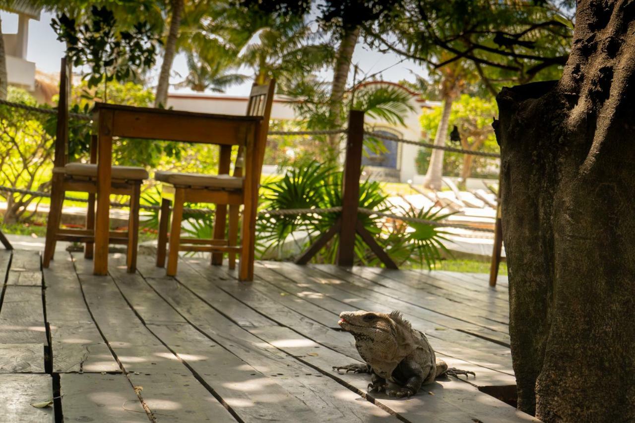 Marina Paraiso Isla Mujeres Hotel Exteriér fotografie